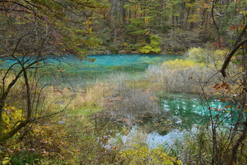 福島県の五色沼の景観