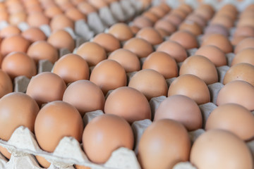 Fresh Egg in the market of thailand.