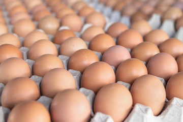 Fresh Egg in the market of thailand.