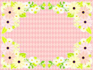 ピンクのアフリカンデージーのフレーム