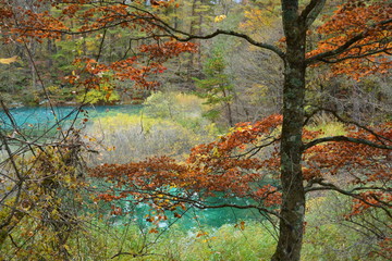 福島県の五色沼の景観