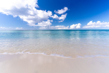 beach and tropical sea
