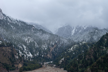 Snow Storm in the Mountains