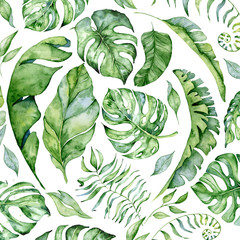 Tropical watercolor leaves banner on white background. Exotic floral designs. Hand drawn illustration
