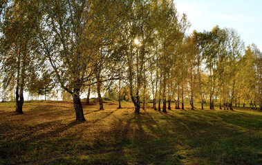 Autumn in the park