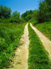 Fototapeta na wymiar Dirt road in a valley with lush vegetation, a bright spring day