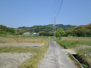 田舎道