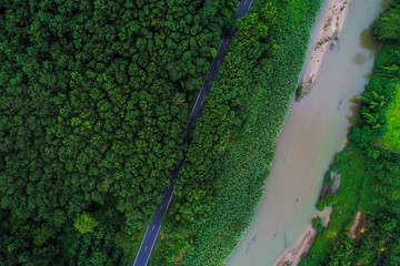 Aerial view of road in tropical green forest