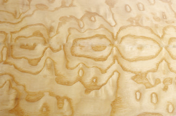 Wood texture