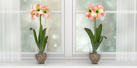 two vases with hippeastrum, standing on the windowsill of a wide white window, 3d illustration