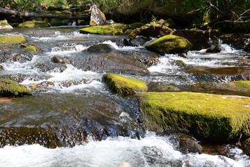 Small river in mountains