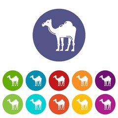 Camel icons color set vector for any web design on white background