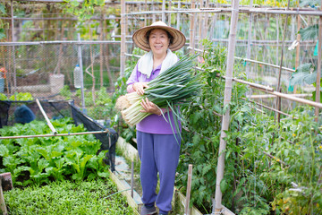female Senior farmer with vegetables