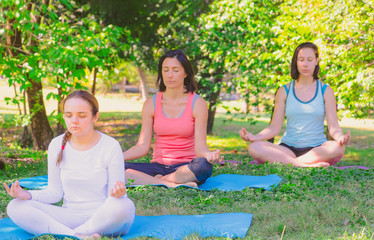 Group people doing yoga in park.They are sitting on mat and doing yoga in morning.they are relax...