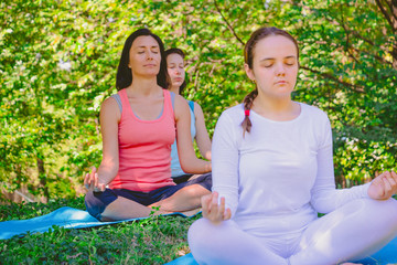 Group people doing yoga in park.They are sitting on mat and doing yoga in morning.they are relax...