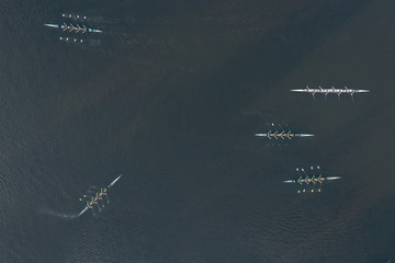 Overhead view of early morning training by rowing teams on the Yarra river in Melbounre Australia