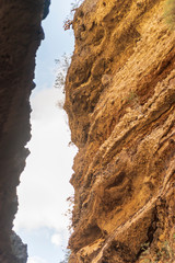 Schlucht (Barranco de Las Angustias)