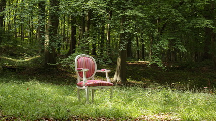 foret, bois, arbre, vintage, vert, jungle, herbe, 