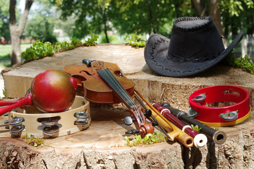 Violin, maracas, pipes, djembe, cowboy hat in nature