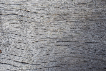 Fototapeta premium Abstract art pine wood texture