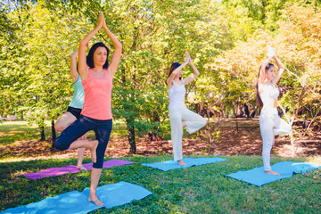 Group people yoga in park. They are have pay for yoga and standing on mat in public park.they are...