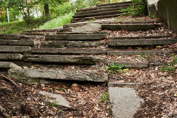 The old staircase of their reinforced concrete among the trees © arostynov