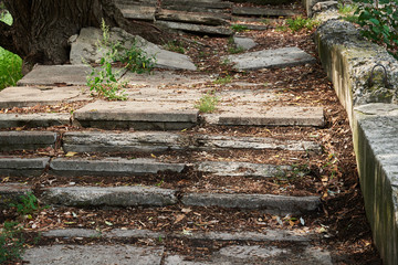 The old staircase of their reinforced concrete among the trees