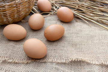 closeup egg on sack with soft-focus and over light in the background