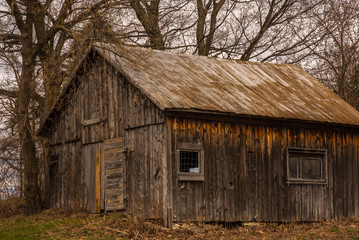 Old Barn Weathered Wood under a Tree on grass