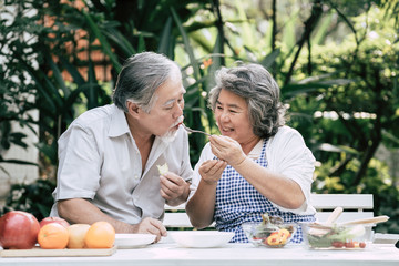 Elderly couples Cooking Healthy food together