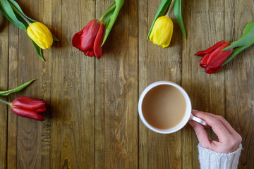 Flat lay of greeting card with flowers tulips and hand keeping white cup of coffee with milk on brown wooden background. Top view