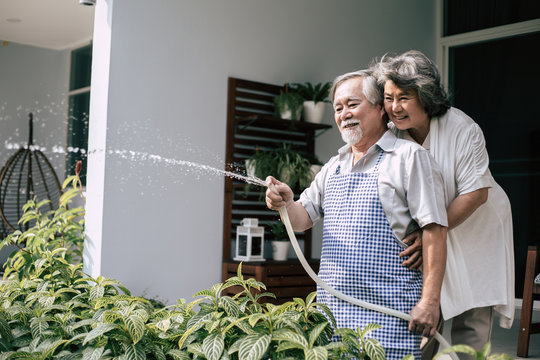 Elderly Couple Watering A Flower In Home Garden