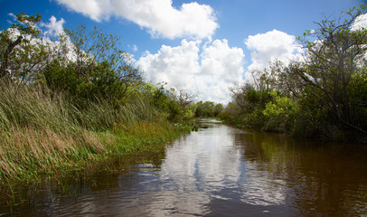 Fototapeta na wymiar Everglades