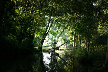 Marais Poitevin, Venise verte, Nouvelle-Aquitaine, France.