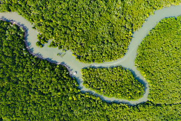 View from above, stunning aerial view of a river flowing through a green tropical forest, it...