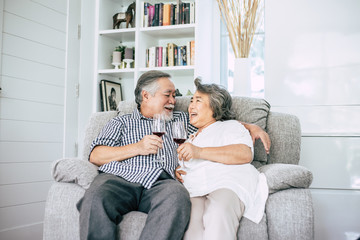 Happy Elderly woman and her husband drinking wine and happiness