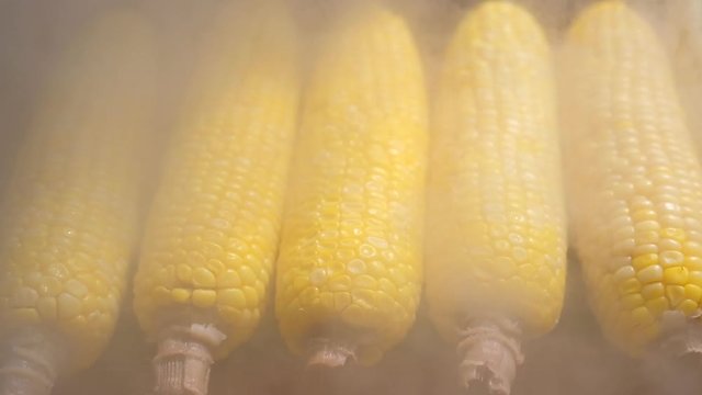 Close up of appetizing grilled sweet corn on the bbq grill. Street food festival in japan. Slow motion-the smoke from cooking movement