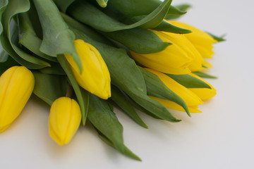 Obraz premium Bouquet of yellow tulips on a white background