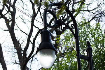 light pole in the park