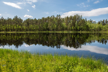 calm lake in bright sun light with reflections of clouds and trees and blue sky