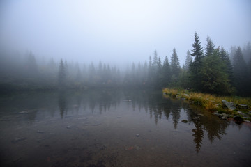 tourist hiking trail in foggy misty day with rain © Martins Vanags
