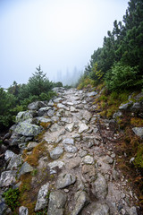 tourist hiking trail in foggy misty day with rain