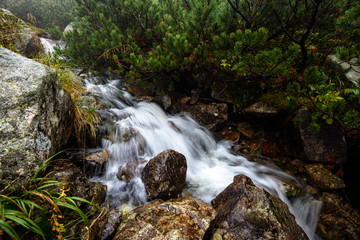 fast mountain rocky river in forest with waterfall