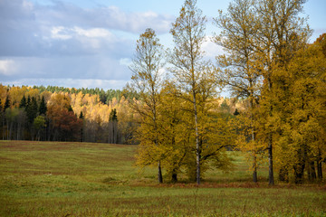 Fototapeta premium empty countryside fields in late autumn