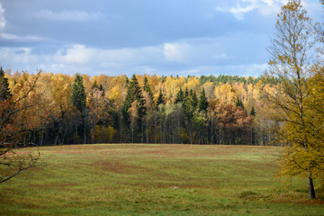 empty countryside fields in late autumn