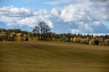 Fototapeta premium empty countryside fields in late autumn