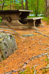 Camp site with picnic table in norwegian park