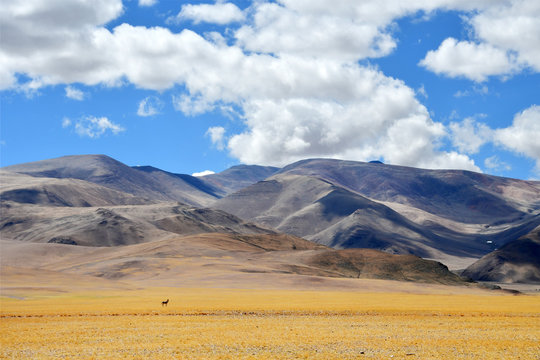 Mountains on the way to the salt lake Tarok. China, Tibet