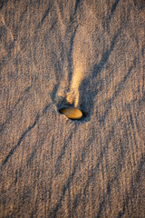 stone on the beach