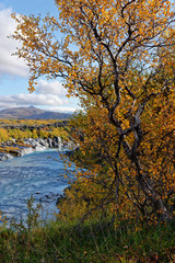 Herbst am Hraunafossar, Island